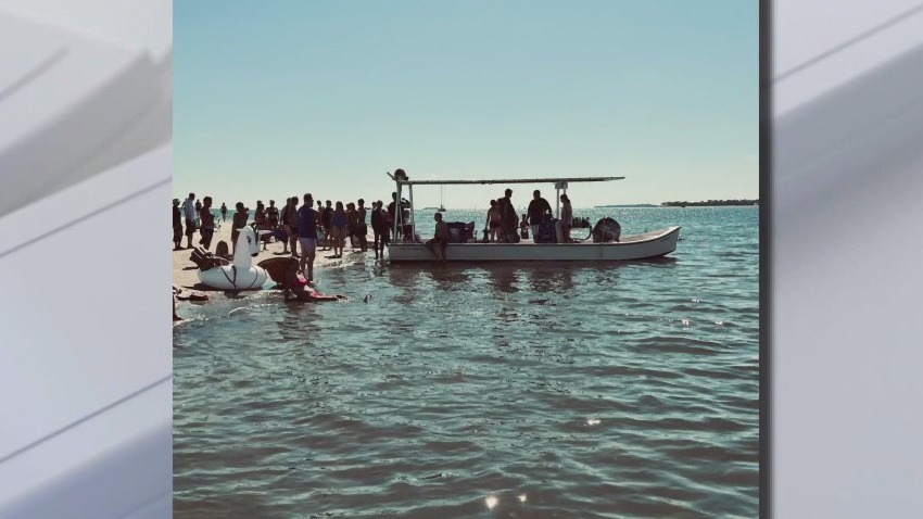 Cedar Key Shark Swim returns